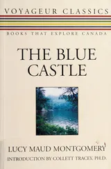 The Blue Castle