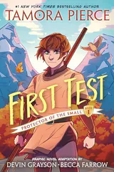 First Test Graphic Novel