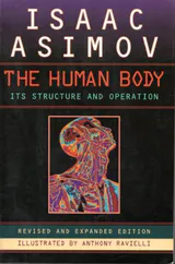The Human Body: Its Structure and Operation