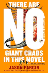 Cover of There Are No Giant Crabs in This Novel: A Novel of Giant Crabs by David Wong