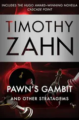 Pawn's Gambit: And Other Stratagems