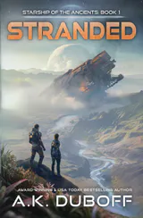 Starship of the Ancients