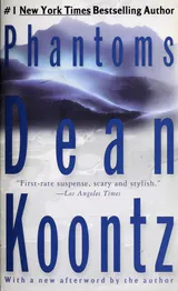 Phantoms