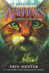 Darkness Within