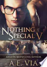 Nothing Special V